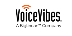 VoiceVibes conversational intelligence tools