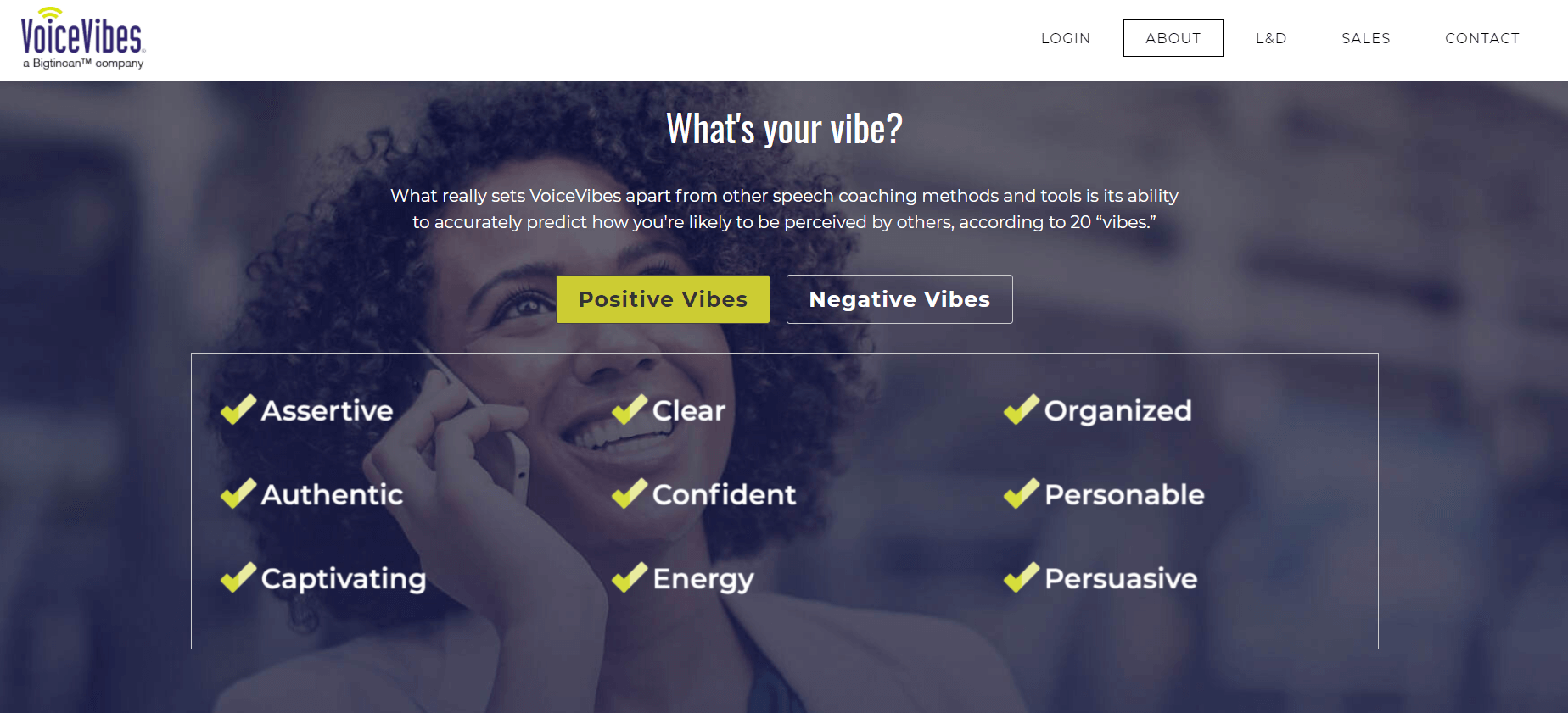 VoiceVibes homepage