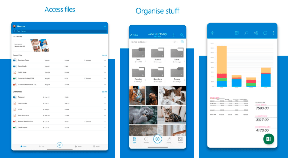 A preview of the OneDrive interface and capabilities